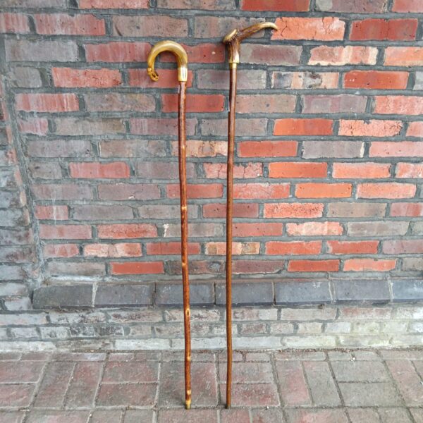 Vintage shepherd's crook with a natural horn handle.