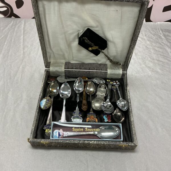 Vintage tea spoon collection in presentation box, silver plated spoons.