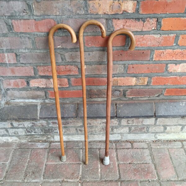 Lot of three vintage bentwood walking sticks for collectors.