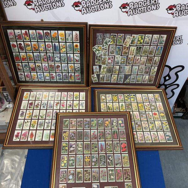 Framed sets of vintage Wills cigarette cards depicting colourful flowers.