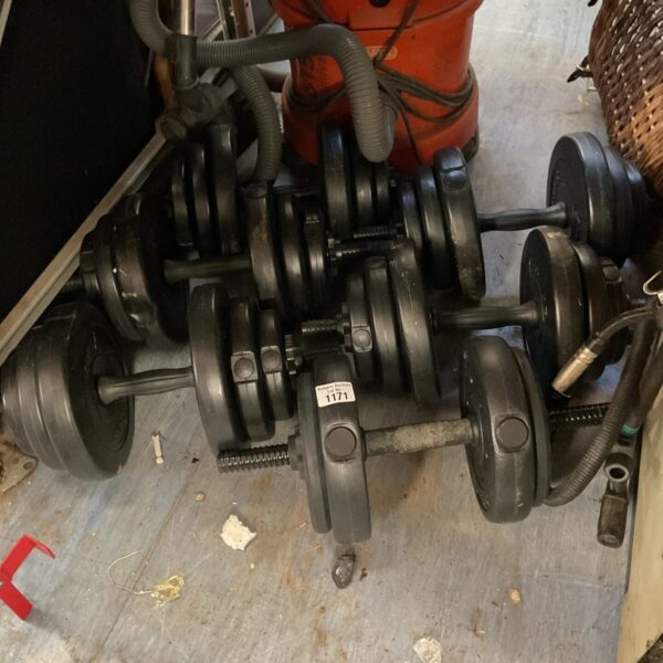 Adjustable dumbbell set for home fitness and weightlifting exercises.