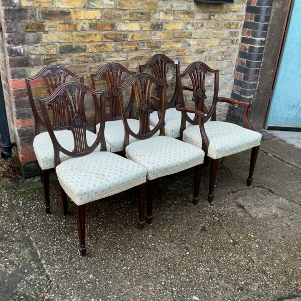 Set of six antique mahogany dining chairs in Regency style.