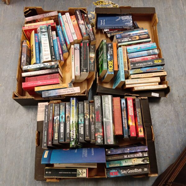 Book lot featuring Clive Cussler and Scott Mariani thrillers.