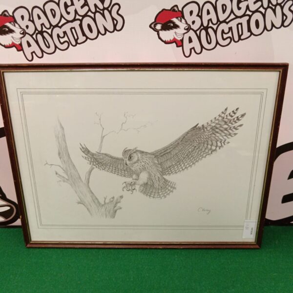 Antique C Varley owl print, detailed ornithological illustration.