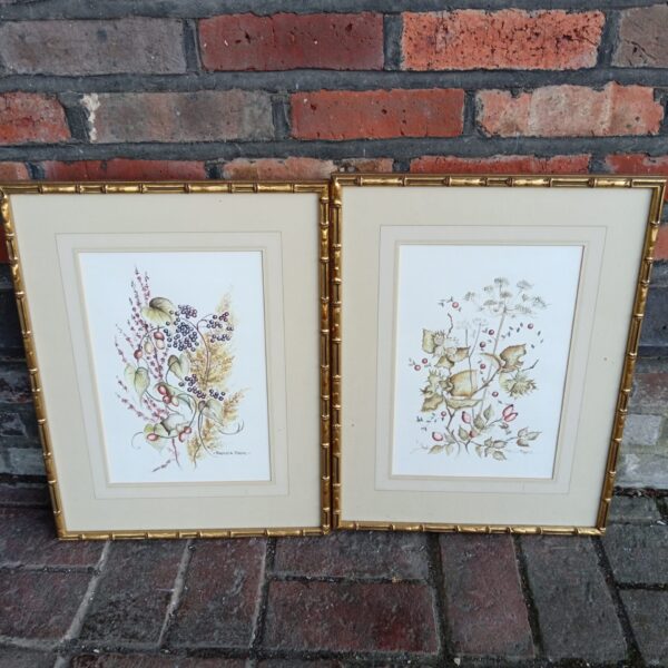 Pair of Patricia Mayne watercolour paintings depicting botanical still life.