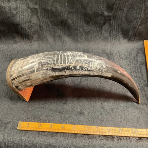 Vintage scrimshaw African horn with detailed zebra carvings.