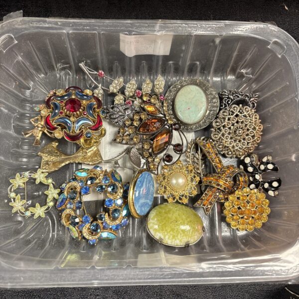 Assortment of vintage brooches and pins in a plastic container.