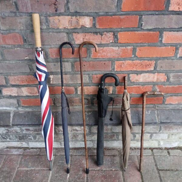 Vintage umbrella and cane lot, antique accessories collection.