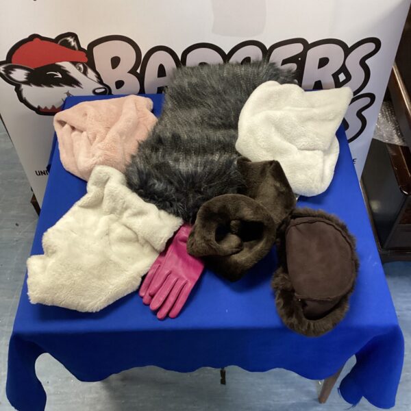 Winter accessories lot including scarf, gloves, and hat.