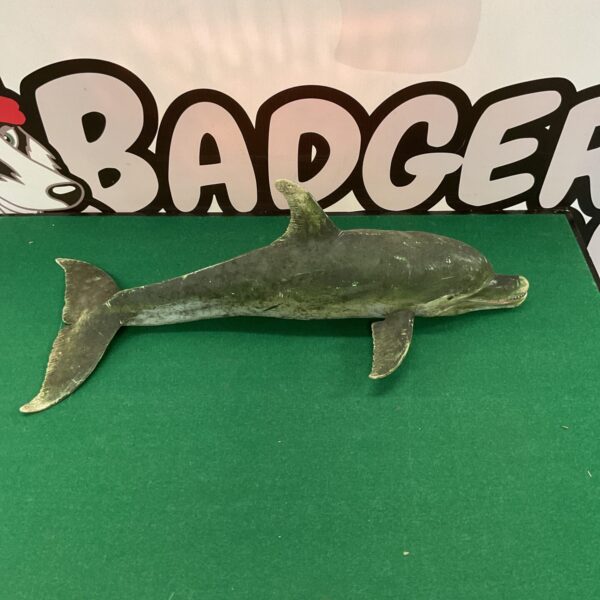 Hand-carved wooden dolphin sculpture for nautical decor.