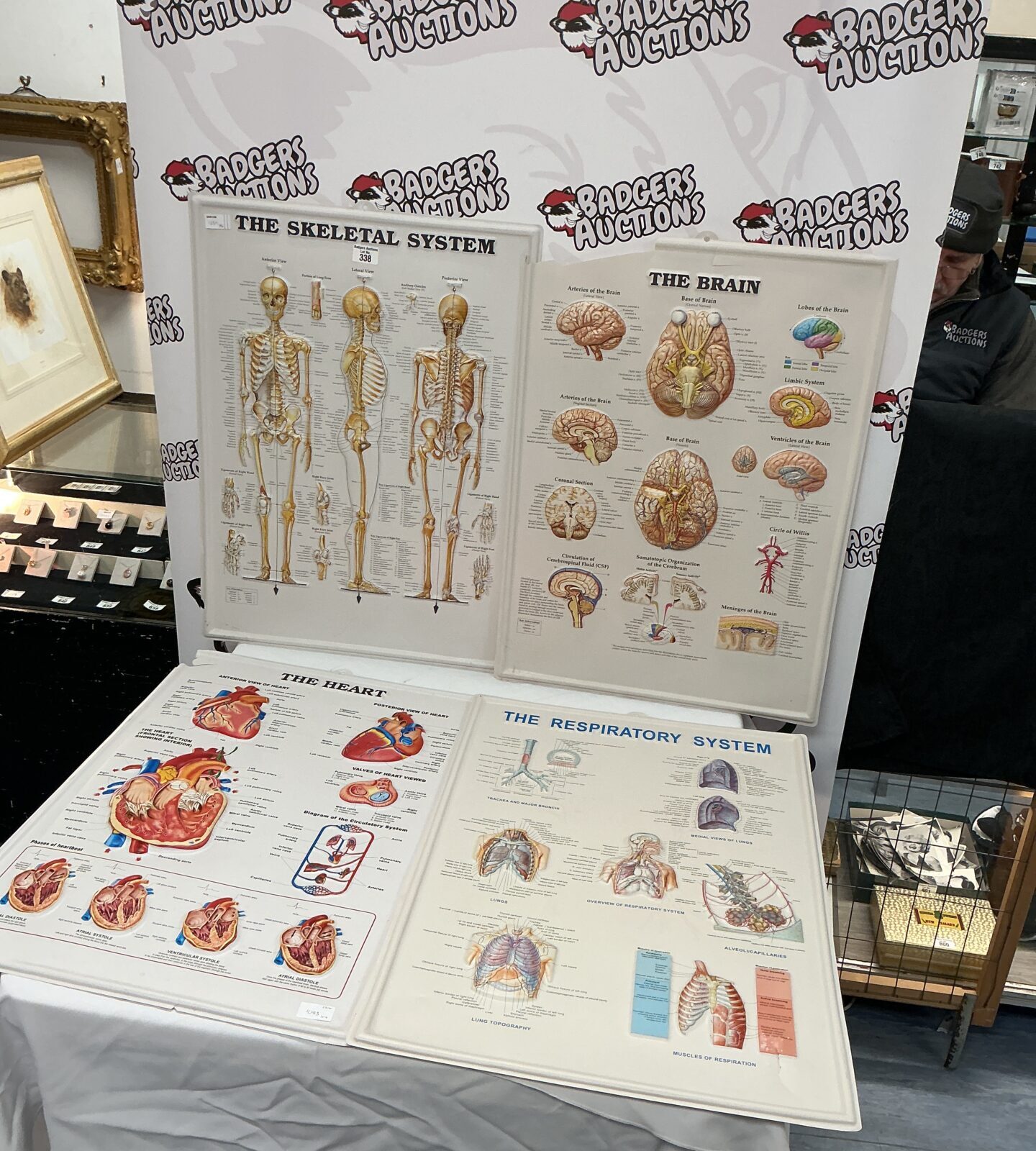 Four 3 d posters of the human body – Badgers Auctions