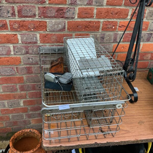 Quantity of metal animal traps for pest control in a garden setting.
