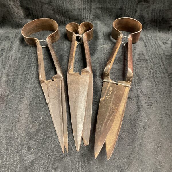 Antique sheep shears, vintage farm tool for shearing.