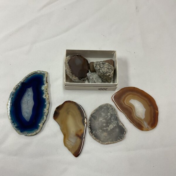 Polished agate crystal slices with natural banding and colours.