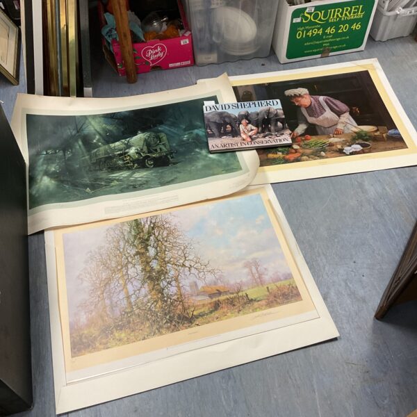 David Shepherd limited edition prints and book, wildlife art collection.