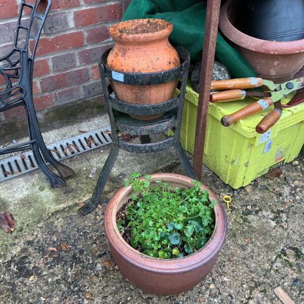 Terracotta garden pot with decorative metal frame in a garden setting.