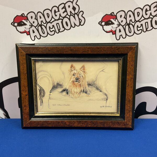 Signed limited edition print of a Yorkshire Terrier by Gill Evans.