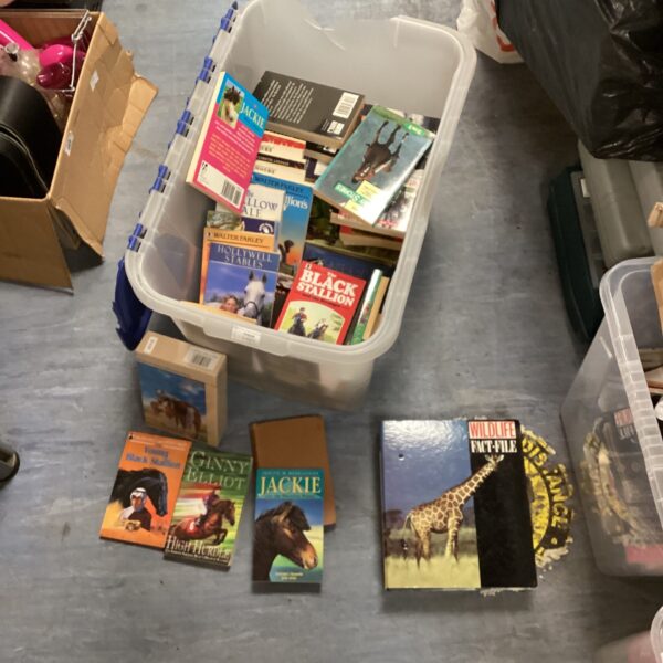 Lot of vintage horse riding books including Walter Farley’s Black Stallion.