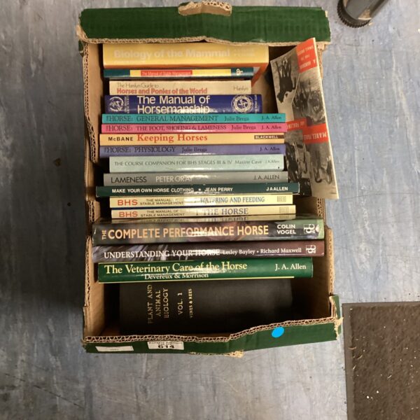 Vintage collection of horse riding and care books for enthusiasts.