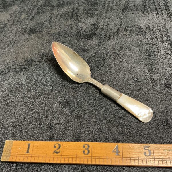 Antique French mother of Pearl handled caddy spoon