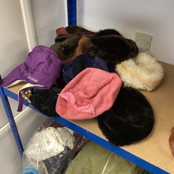 Assorted ladies hats including faux fur and knitted styles.