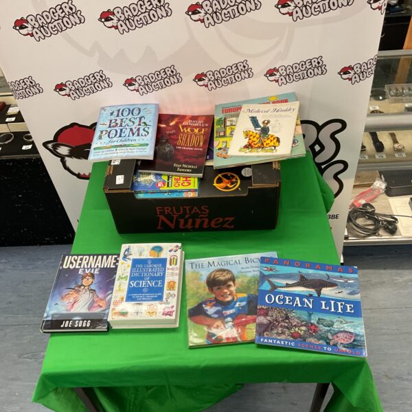 Mixed book lot including Hunger Games and Diary of a Wimpy Kid.