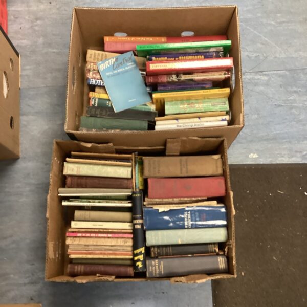 Mixed book lot with vintage paperbacks and collectible titles.