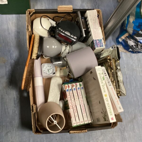 Mixed lot of books and lamps, including vintage items.