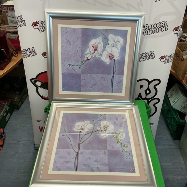 Two framed orchid prints for elegant wall decor.