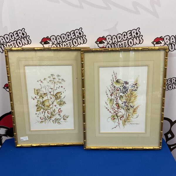 Pair of Patricia Mayne watercolour paintings depicting delicate floral studies.