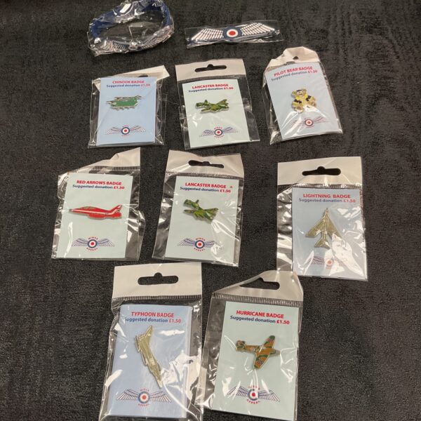 Set of ten RAF Wings Appeal enamel pin badges.