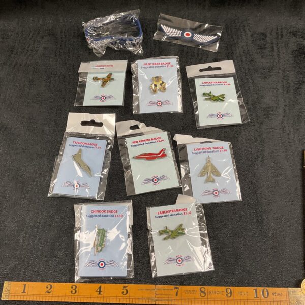 Set of ten RAF Wings Appeal enamel pin badges.