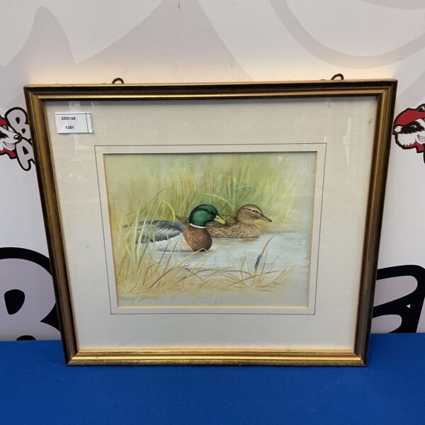 Rosemary Tinney watercolour painting of mallard ducks in reeds.