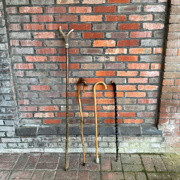 Vintage shepherd's crook and rustic walking sticks lot.