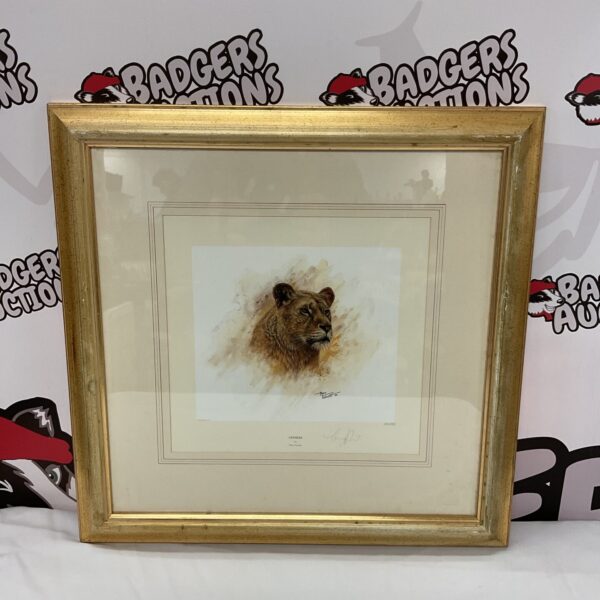 Signed limited edition Tony Forrest lioness wildlife print.
