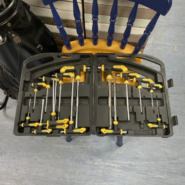Torx and Allen key set in a moulded plastic case.