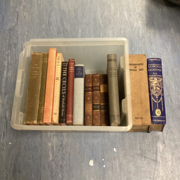 Overview of a vintage book lot with various antique titles.