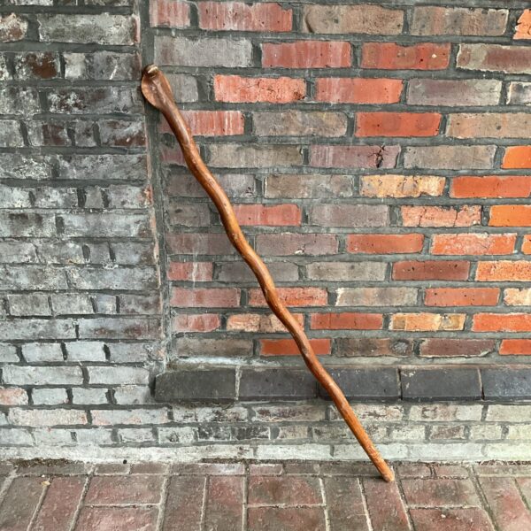 Detailed vintage cobra walking staff with carved snake head.