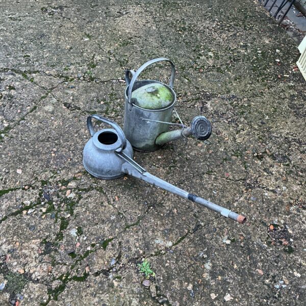 Vintage metal watering can with rose head in garden setting.