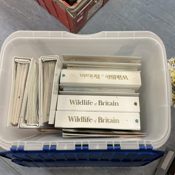 Vintage collection of *Wildlife of Britain* magazines in binders.