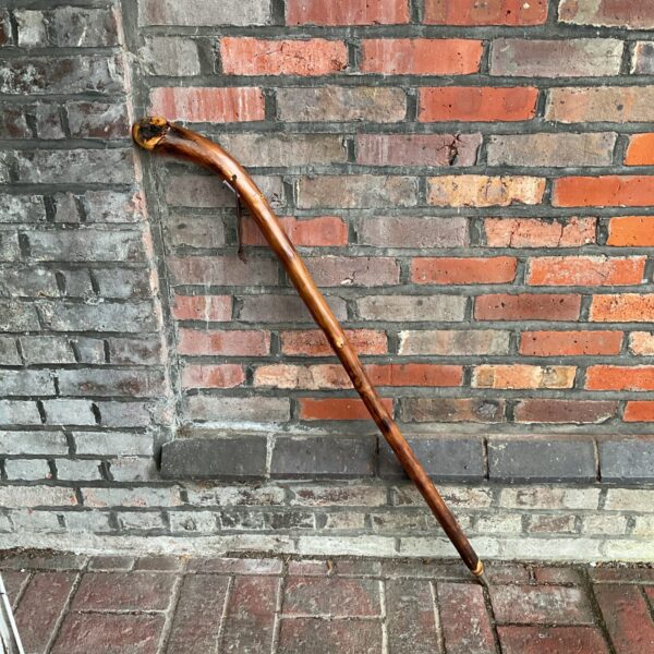 Rustic wooden walking stick with a curved handle.