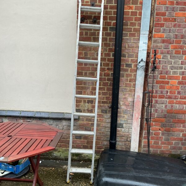 Aluminium extension ladder leaning against a wall in a garden setting.
