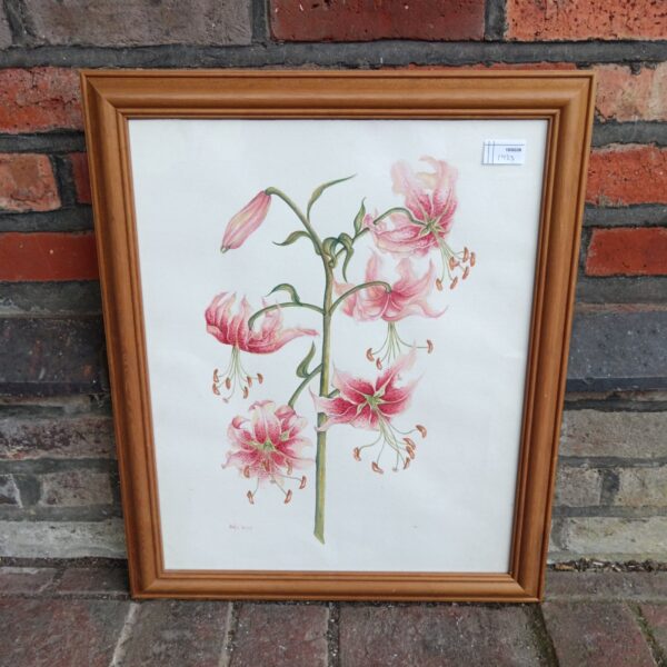 Signed Bela orchid watercolour painting from 2008, delicate floral art.