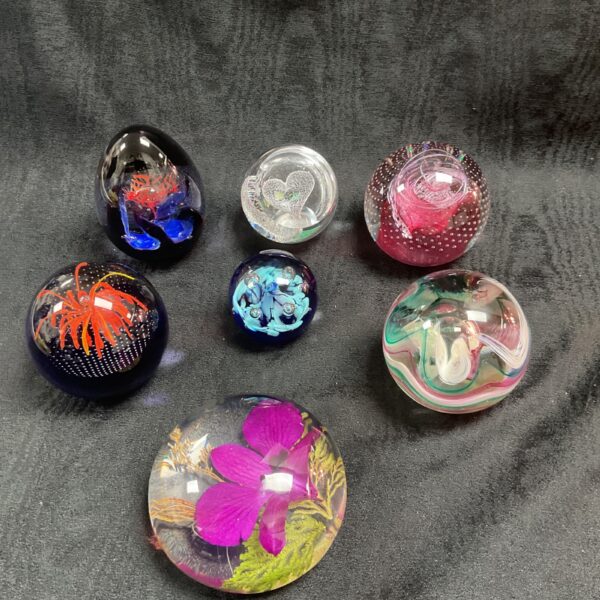 Collection of signed Caithness paperweights with colourful designs.