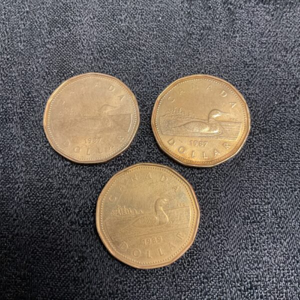 Canadian one dollar coin featuring loon design.