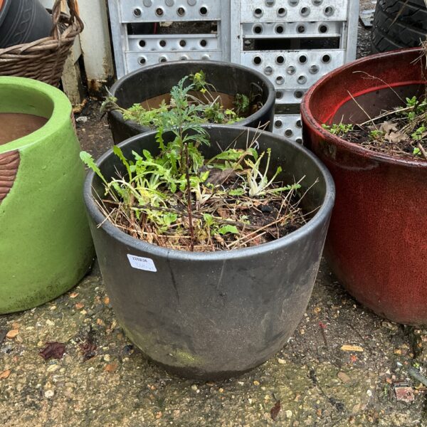 Dark plastic garden planters with plants, suitable for outdoor use.