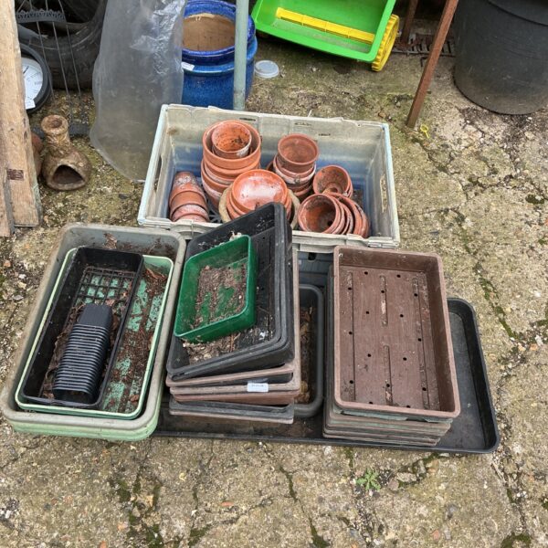 Large lot of terracotta and plastic garden pots and trays for gardening.
