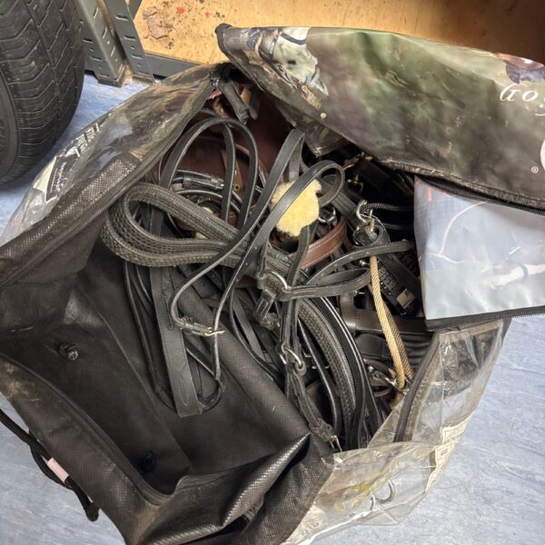 Bundle of assorted horse riding tackle and equestrian gear.