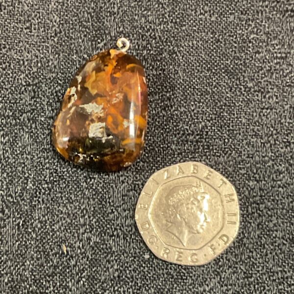New Zealand Amber pendant