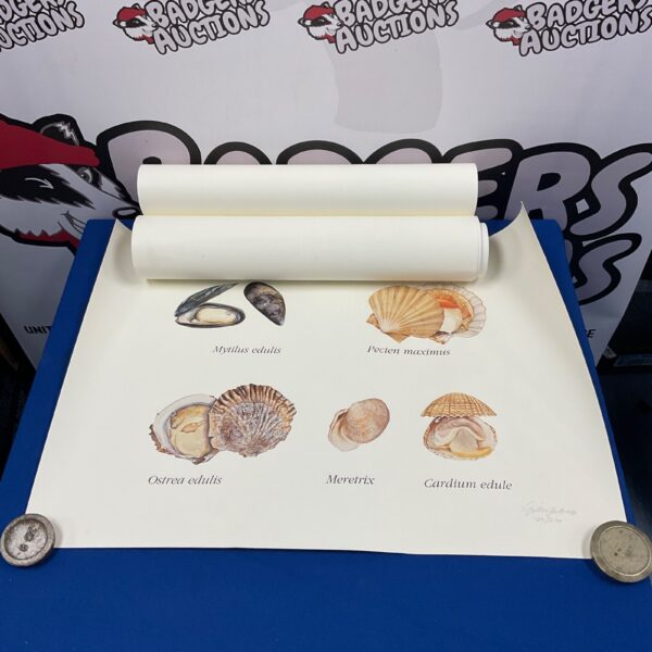 four prints of shellfish by gilbert declercq for morubel all hand signed ltd editions